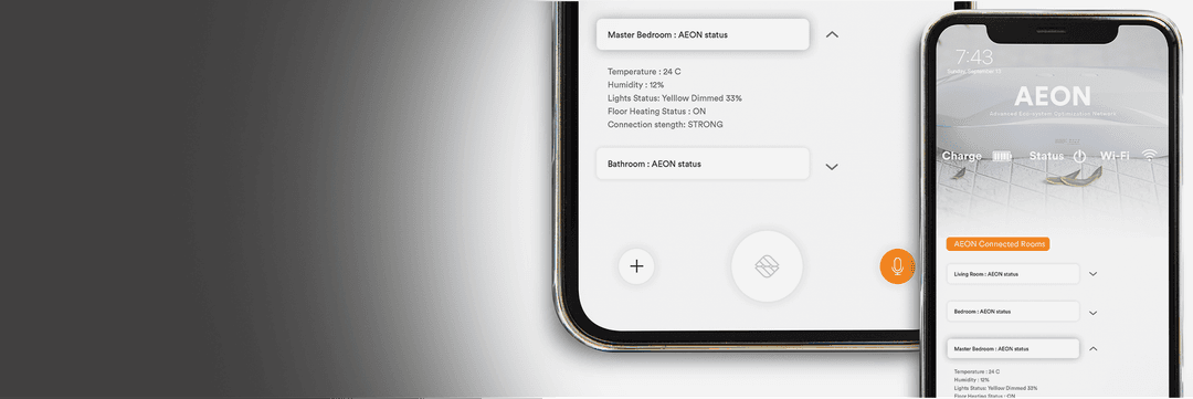 software development